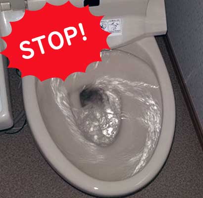 トイレの水は流さないでください！